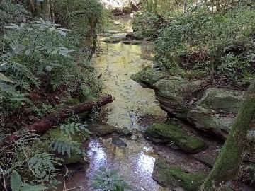 Mina d'agua