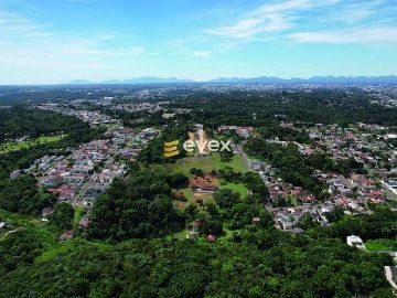 Floresta