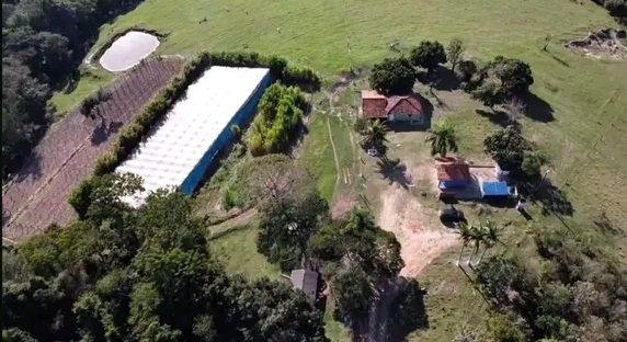 Sítio - Venda - Guapé - Japira - PR
